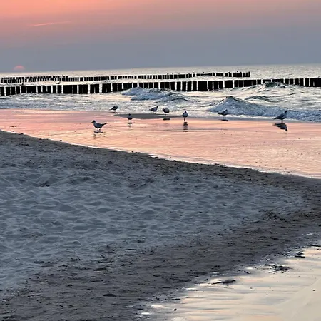 Gold Z Widokiem Na Morze *