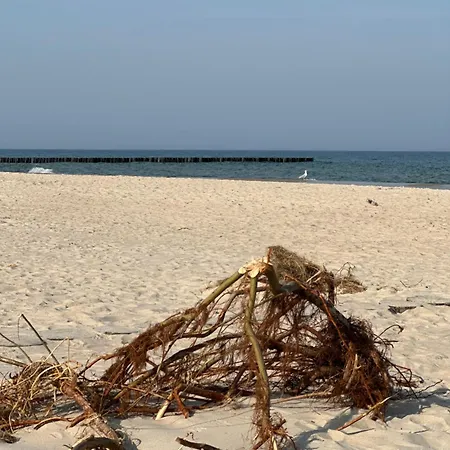 Gold Z Widokiem Na Morze Lejlighed *