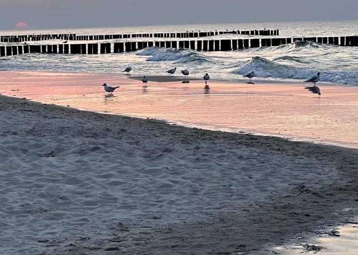 Gold Z Widokiem Na Morze *