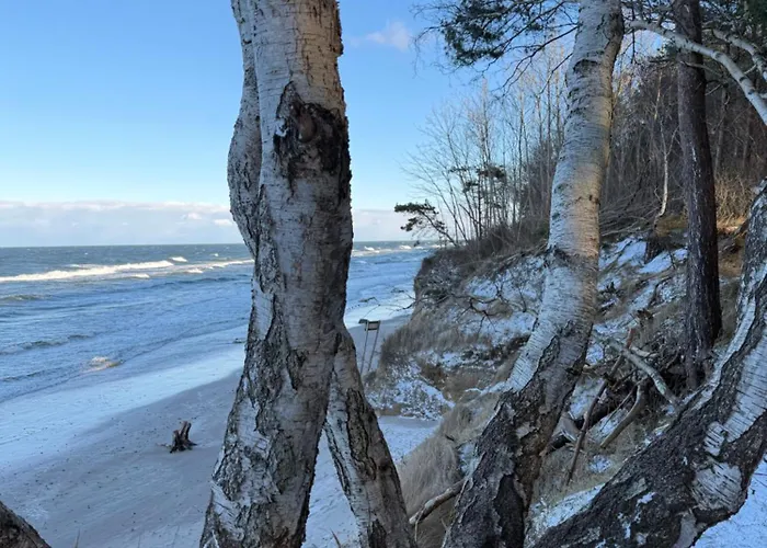 Gold Z Widokiem Na Morze Апартаменты Дзивновек